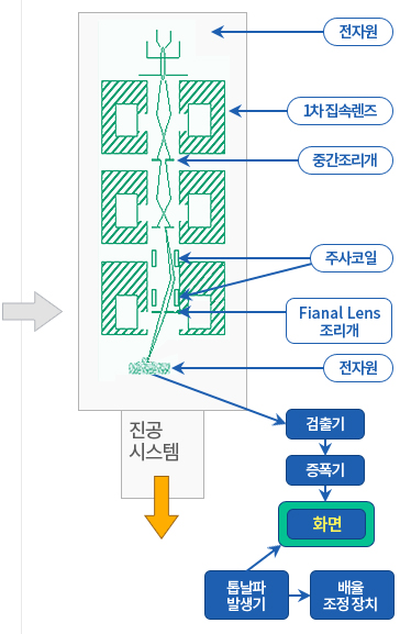 주사전자현미경 이미지